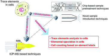 Graphical abstract: Advances in ICP-MS-based techniques for trace elements and their species analysis in cells