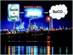 Graphical abstract: Development of on-line UV-induced volatile species generation for selenium speciation [Se(iv) and SeCN−] by ion chromatography-inductively coupled plasma mass spectrometry in petroleum refinery wastewater