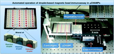 Graphical abstract: Droplet-based magnetic bead immunoassay using microchannel-connected multiwell plates (μCHAMPs) for the detection of amyloid beta oligomers