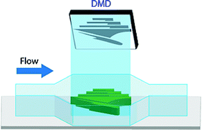 Graphical abstract: Direct 3D-printing of cell-laden constructs in microfluidic architectures