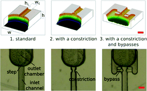 Graphical abstract: Nano-liter droplet libraries from a pipette: step emulsificator that stabilizes droplet volume against variation in flow rate