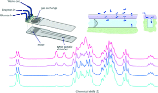 Graphical abstract: Characterisation of oxygen permeation into a microfluidic device for cell culture by in situ NMR spectroscopy