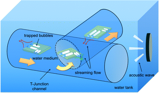 Graphical abstract: 2-D steering and propelling of acoustic bubble-powered microswimmers