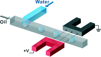Graphical abstract: AC electric field induced droplet deformation in a microfluidic T-junction