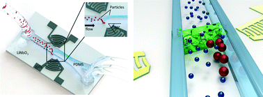 Graphical abstract: Virtual membrane for filtration of particles using surface acoustic waves (SAW)