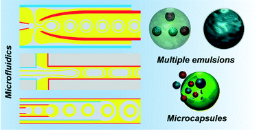 Graphical abstract: Microfluidic production of multiple emulsions and functional microcapsules