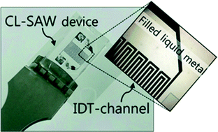 Graphical abstract: A conductive liquid-based surface acoustic wave device