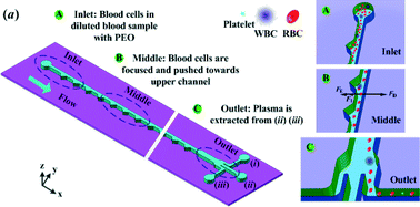 Graphical abstract: Continuous plasma extraction under viscoelastic fluid in a straight channel with asymmetrical expansion–contraction cavity arrays