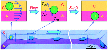 Graphical abstract: Spontaneous transfer of droplets across microfluidic laminar interfaces