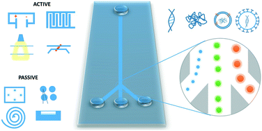 Graphical abstract: Advancements in microfluidics for nanoparticle separation