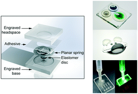 Graphical abstract: A simple check valve for microfluidic point of care diagnostics