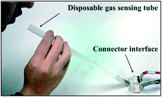 Graphical abstract: A disposable breath sensing tube with on-tube single-nanowire sensor array for on-site detection of exhaled breath biomarkers
