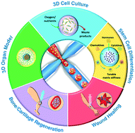 Graphical abstract: Cell-laden microfluidic microgels for tissue regeneration