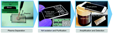 Graphical abstract: Miniaturized devices for point of care molecular detection of HIV