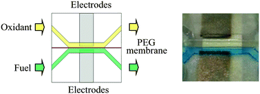 Graphical abstract: In situ formation of leak-free polyethylene glycol (PEG) membranes in microfluidic fuel cells