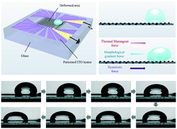 Graphical abstract: Droplet manipulation on a structured shape memory polymer surface