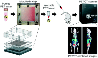 Graphical abstract: Automatic concentration and reformulation of PET tracers via microfluidic membrane distillation