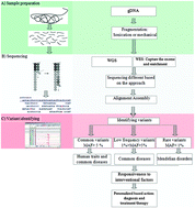 Graphical abstract: Next generation sequencing: implications in personalized medicine and pharmacogenomics