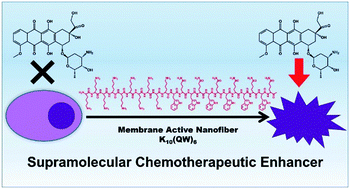 Graphical abstract: Membrane activity of a supramolecular peptide-based chemotherapeutic enhancer