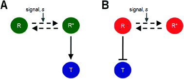 Graphical abstract: Optimal parameter values for the control of gene regulation
