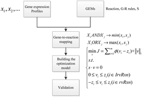 Graphical abstract: Prediction of metabolic fluxes from gene expression data with Huber penalty convex optimization function