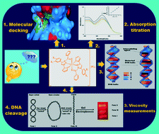 Graphical abstract: Design, synthesis and biological evaluation of pyrazoline nucleus based homoleptic Ru(iii) compounds