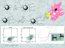 Graphical abstract: Deferasirox-coated iron oxide nanoparticles as a potential cytotoxic agent