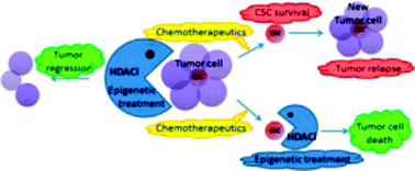 Graphical abstract: Histone deacetylase inhibitors for the treatment of cancer stem cells