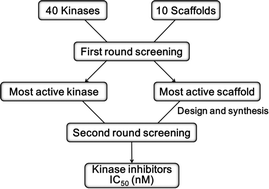 Graphical abstract: The discovery of kinase inhibitors by a combination of diversity-oriented synthesis and selective screening