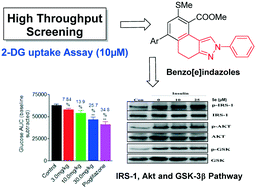 Graphical abstract: Synthesis of substituted 2H-benzo[e]indazole-9-carboxylate as a potent antihyperglycemic agent that may act through IRS-1, Akt and GSK-3β pathways
