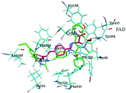 Graphical abstract: Pyrazolobenzothiazine-based carbothioamides as new structural leads for the inhibition of monoamine oxidases: design, synthesis, in vitro bioevaluation and molecular docking studies