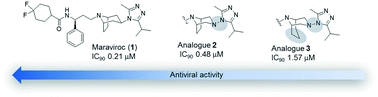 Graphical abstract: Diazabicyclo analogues of maraviroc: synthesis, modeling, NMR studies and antiviral activity