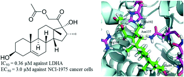 Graphical abstract: Discovery of potent human lactate dehydrogenase A (LDHA) inhibitors with antiproliferative activity against lung cancer cells: virtual screening and biological evaluation