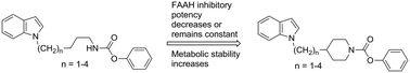 Graphical abstract: (Indolylalkyl)piperidine carbamates as inhibitors of fatty acid amide hydrolase (FAAH)