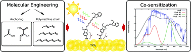 Graphical abstract: Molecular engineering of cyanine dyes to design a panchromatic response in co-sensitized dye-sensitized solar cells