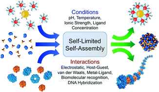 Graphical abstract: Self-limited self-assembly of nanoparticles into supraparticles: towards supramolecular colloidal materials by design