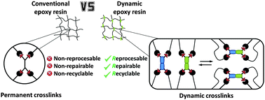 Graphical abstract: Epoxy resin with exchangeable disulfide crosslinks to obtain reprocessable, repairable and recyclable fiber-reinforced thermoset composites