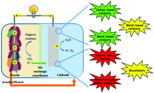 Graphical abstract: Oxygen reduction reaction catalysts used in microbial fuel cells for energy-efficient wastewater treatment: a review