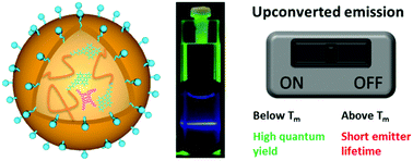 Graphical abstract: Thermoresponsive low-power light upconverting polymer nanoparticles