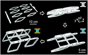 Graphical abstract: Modular assembly of soft deployable structures and robots