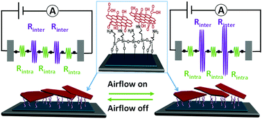 Graphical abstract: Highly sensitive airflow sensors with an ultrathin reduced graphene oxide film inspired by gas exfoliation of graphite oxide