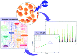 Graphical abstract: LC-MS based metabolomics and chemometrics study of the toxic effects of copper on Saccharomyces cerevisiae