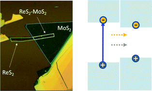 Graphical abstract: Type-I van der Waals heterostructure formed by MoS2 and ReS2 monolayers