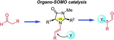 Graphical abstract: Enantioselective organocatalysis using SOMO activation