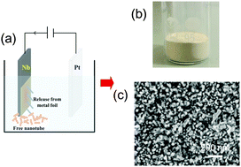 Graphical abstract: Niobium pentoxide nanotube powder for efficient dye-sensitized solar cells