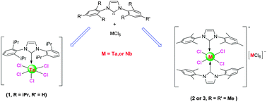 Graphical abstract: Mono- and bis-N-heterocyclic carbene complexes of tantalum and niobium with high oxidation states