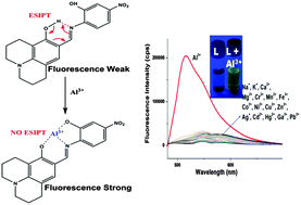 Graphical abstract: Fluorescent sensor for Al3+ ion in partially aqueous media using julolidine based probe