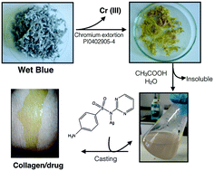 Graphical abstract: Recycled collagen films as biomaterials for controlled drug delivery