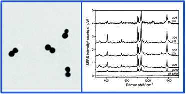Graphical abstract: One-pot synthesis of gold nanodimers and their use as surface-enhanced Raman scattering tags