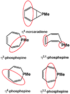 Graphical abstract: Effect of metal complexation on the equilibrium between methylphosphepine and methylphosphanorcaradiene and their benzo analogues